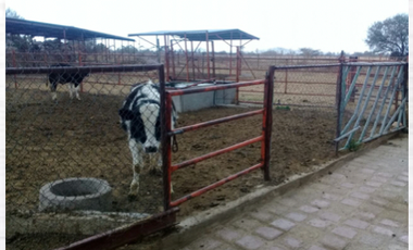 RANCHO EN VENTA LA PROVIDENCIA EN EL LLANO