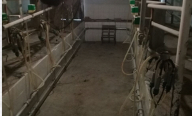 RANCHO EN VENTA LA PROVIDENCIA EN EL LLANO