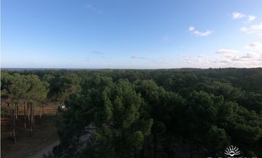 DEPARTAMENTO  A ESTRENAR MINIMALISTA 3 AMBIENTES PB