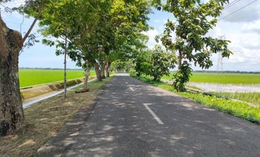 600 Ribu-an/m, Legalitas Pasti Area Berkembang Purworejo