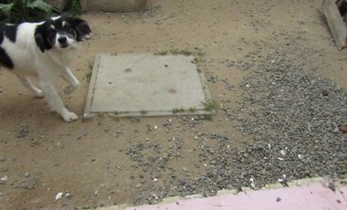 VENDO SITIO 500 M2, CON TODOS SUS SERVICIOS