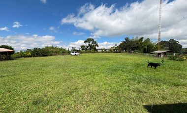 finca en arriendo/venta en circasia. Cod A408377