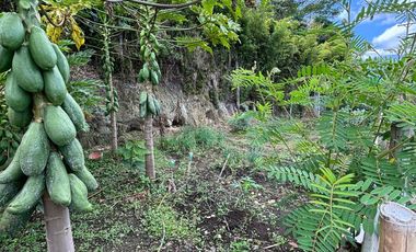 finca en arriendo/venta en circasia. Cod A408377