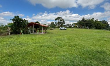 finca en arriendo/venta en circasia. Cod A408377