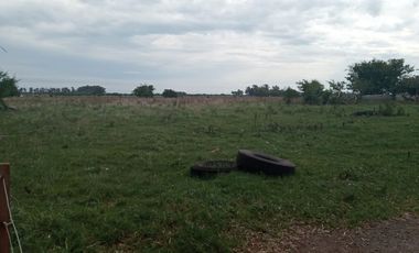 VENTA, de importante fracción de campo sobre ruta prov. 54, Partido de Magdalena.
