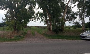 VENTA, de importante fracción de campo sobre ruta prov. 54, Partido de Magdalena.