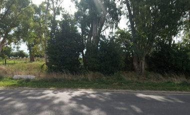 VENTA, de importante fracción de campo sobre ruta prov. 54, Partido de Magdalena.