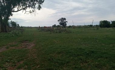 VENTA, de importante fracción de campo sobre ruta prov. 54, Partido de Magdalena.