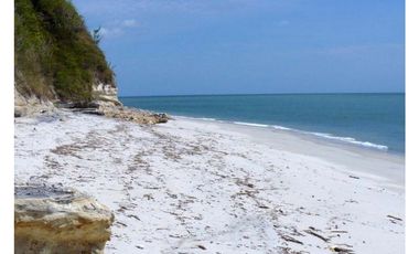 OPORTUNIDAD DE INVERSIÒN FINCA 269 HAS CON FRENTE DE PLAYA