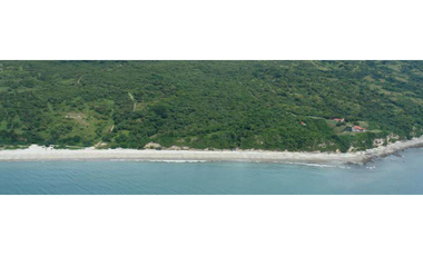OPORTUNIDAD DE INVERSIÒN FINCA 269 HAS CON FRENTE DE PLAYA