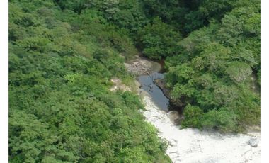 OPORTUNIDAD DE INVERSIÒN FINCA 269 HAS CON FRENTE DE PLAYA