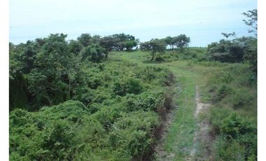 OPORTUNIDAD DE INVERSIÒN FINCA 269 HAS CON FRENTE DE PLAYA