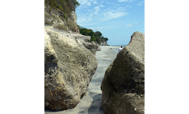 OPORTUNIDAD DE INVERSIÒN FINCA 269 HAS CON FRENTE DE PLAYA