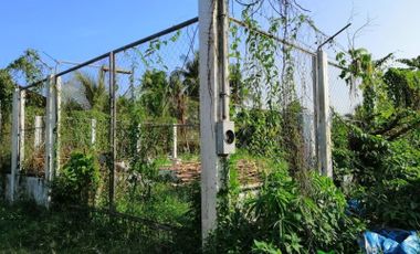 584 sqm Vacant Lot for Sale Toril Proper, Fenced
