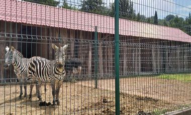 Casa en venta en campestre San Juaquín