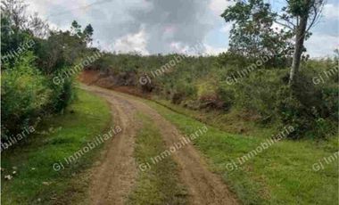 Parcelación el Bosque - Una Vida Conectada con la Naturaleza-El Carmen