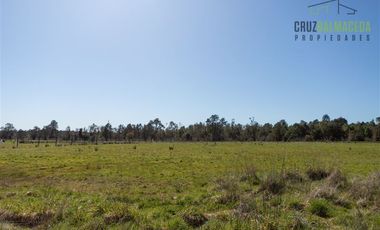 Parcela en Venta en Sector Totoral