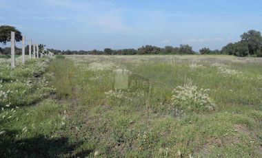 Terreno en Venta en Col. Huitzila, Municipio de Tizayuca, Hidalgo.