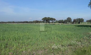 Terreno en Venta en Col. Huitzila, Municipio de Tizayuca, Hidalgo.