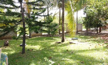 Terreno en Venta en La palma Sector La Mojina