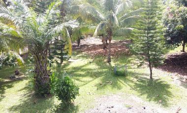 Terreno en Venta en La palma Sector La Mojina
