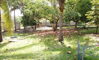 Terreno en Venta en La palma Sector La Mojina