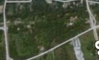 TERRENO HABITACIONAL EN VENTA EN ARBOLEDAS DE SAN ROQUE