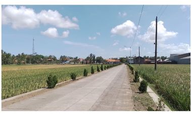 Tanah Murah 50 Jt-an; Selatan Alun-Alun Purworejo