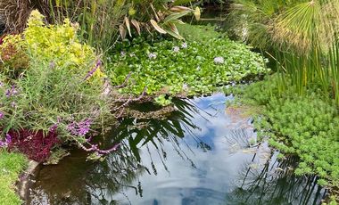 Venta casas Pakakuna garden Checa