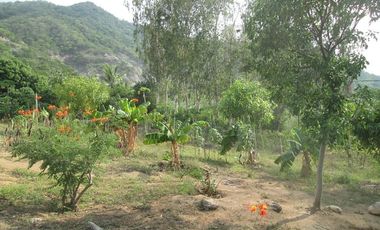 FINCA URBANA DE 5 HTS EN SANTA MARTA SECTOR BURECHE.