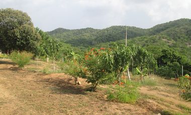 FINCA URBANA DE 5 HTS EN SANTA MARTA SECTOR BURECHE.
