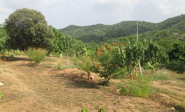 FINCA URBANA DE 5 HTS EN SANTA MARTA SECTOR BURECHE.