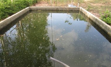 FINCA URBANA DE 5 HTS EN SANTA MARTA SECTOR BURECHE.