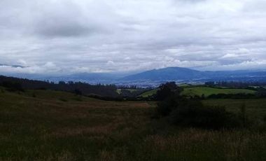 Vendo Hermosas Haciendas en la Provincia de Pichincha