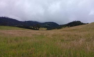 Vendo Hermosas Haciendas en la Provincia de Pichincha