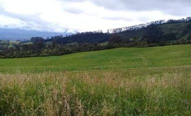 Vendo Hermosas Haciendas en la Provincia de Pichincha