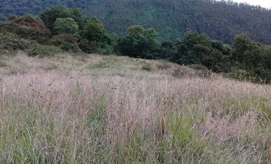 Vendo Hermosas Haciendas en la Provincia de Pichincha