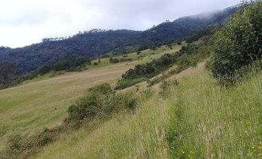 Vendo Hermosas Haciendas en la Provincia de Pichincha