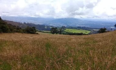 Vendo Hermosas Haciendas en la Provincia de Pichincha