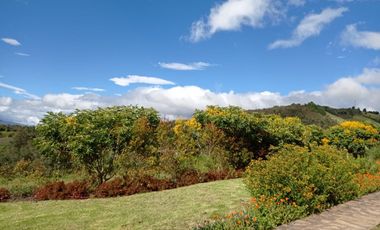 VENDO FINCA  EN SALITRE VIA GUASCA