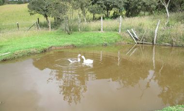 VENDO FINCA  EN SALITRE VIA GUASCA