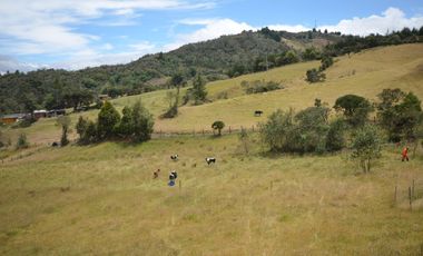 VENDO FINCA  EN SALITRE VIA GUASCA