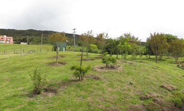 VENDO FINCA  EN SALITRE VIA GUASCA