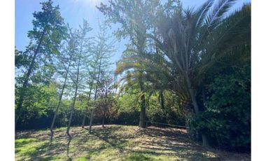 ARRIENDO AMPLIA CASA EN LOS DOMINICOS