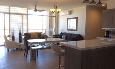 DEPARTAMENTO AMUEBLADO DE LUJO EN SKY PITIC
