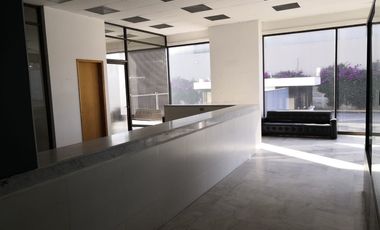 EDIFICIO AGENCIA AUTOMOTRIZ RENTA o VENTA