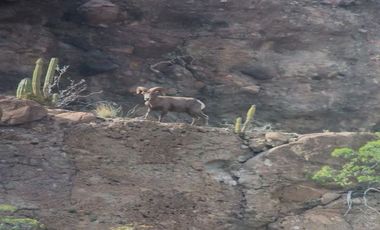 Invierte en el paraíso: Terrenos de playa en venta en Comondú, BCS