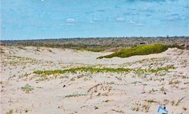 Invierte en el paraíso: Terrenos de playa en venta en Comondú, BCS