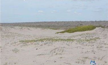 Invierte en el paraíso: Terrenos de playa en venta en Comondú, BCS