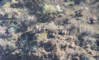 Invierte en el paraíso: Terrenos de playa en venta en Comondú, BCS